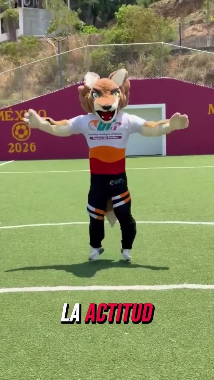 El espíritu Coyote: actitud que inspira
